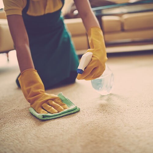 Carpet cleaning | Big Bob's Flooring Outlet Oklahoma City